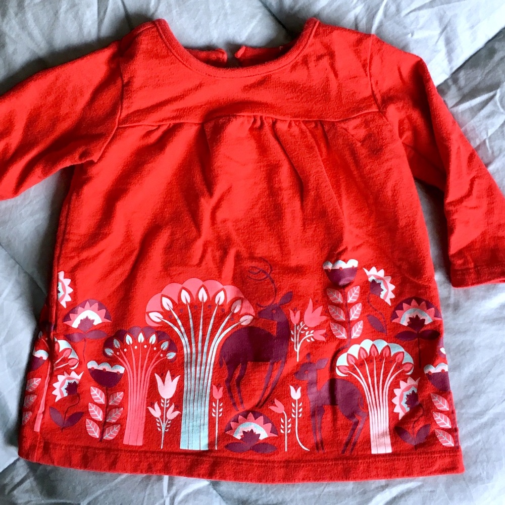 Tea Brand Sweatshirt Tunic Dress